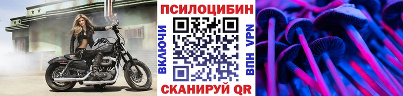 Псилоцибиновые грибы Magic Shrooms  блэк спрут зеркало  Юрга 